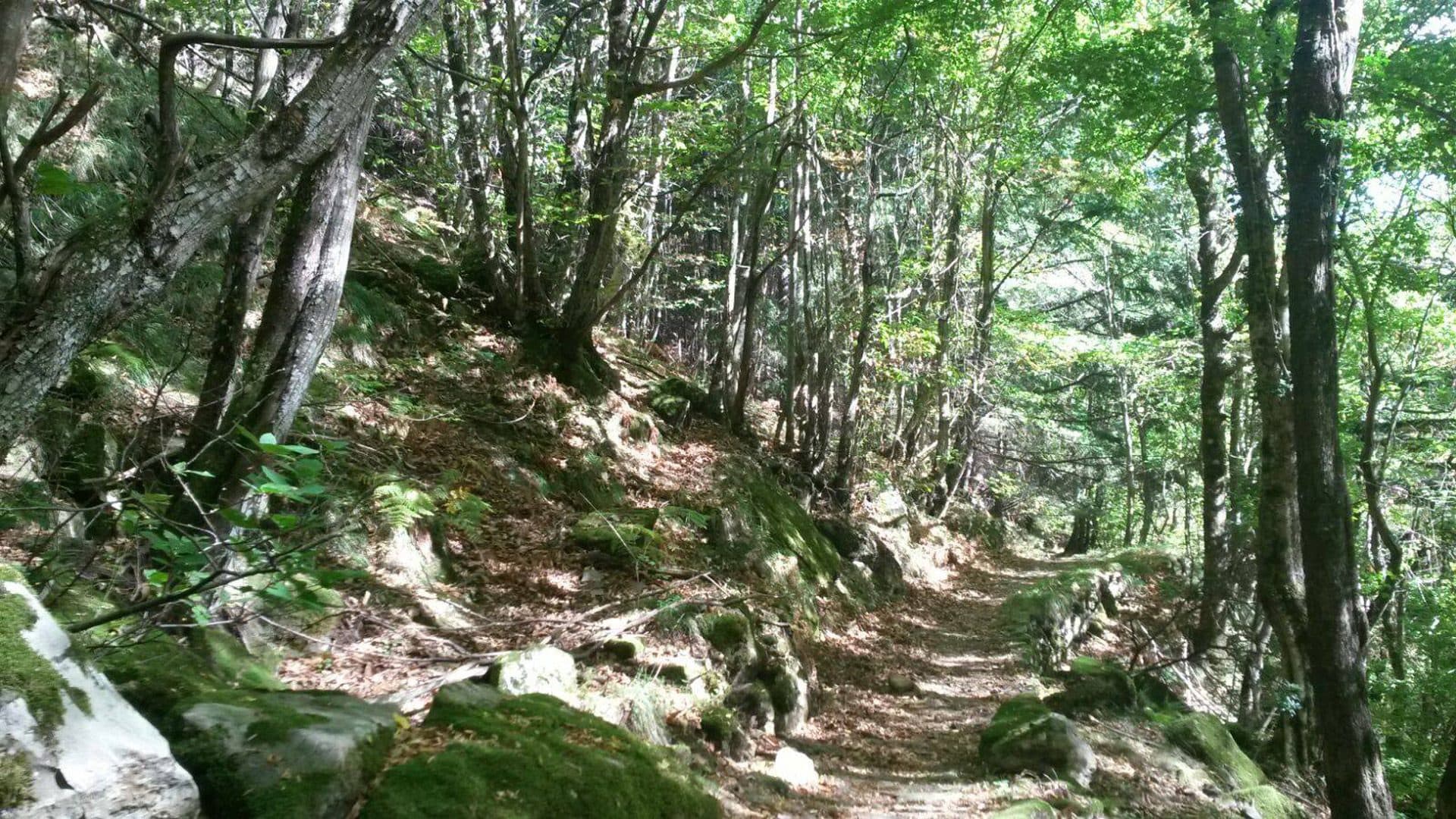 Tappa 11 - San Marcello Pistoiese-Spedaletto
